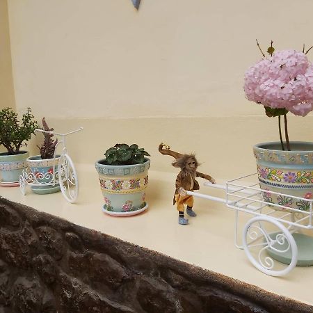 Andean Home 库斯科 外观 照片