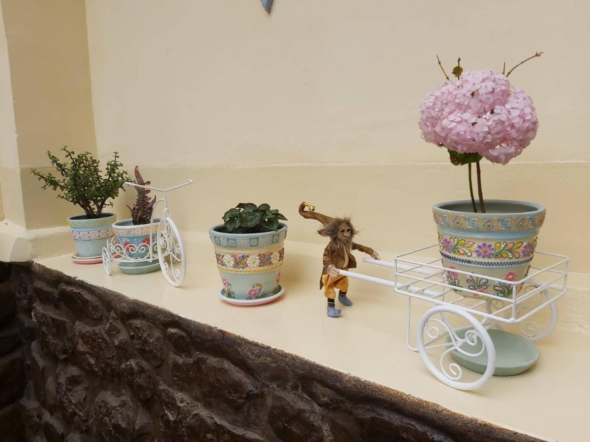 Andean Home 库斯科 外观 照片